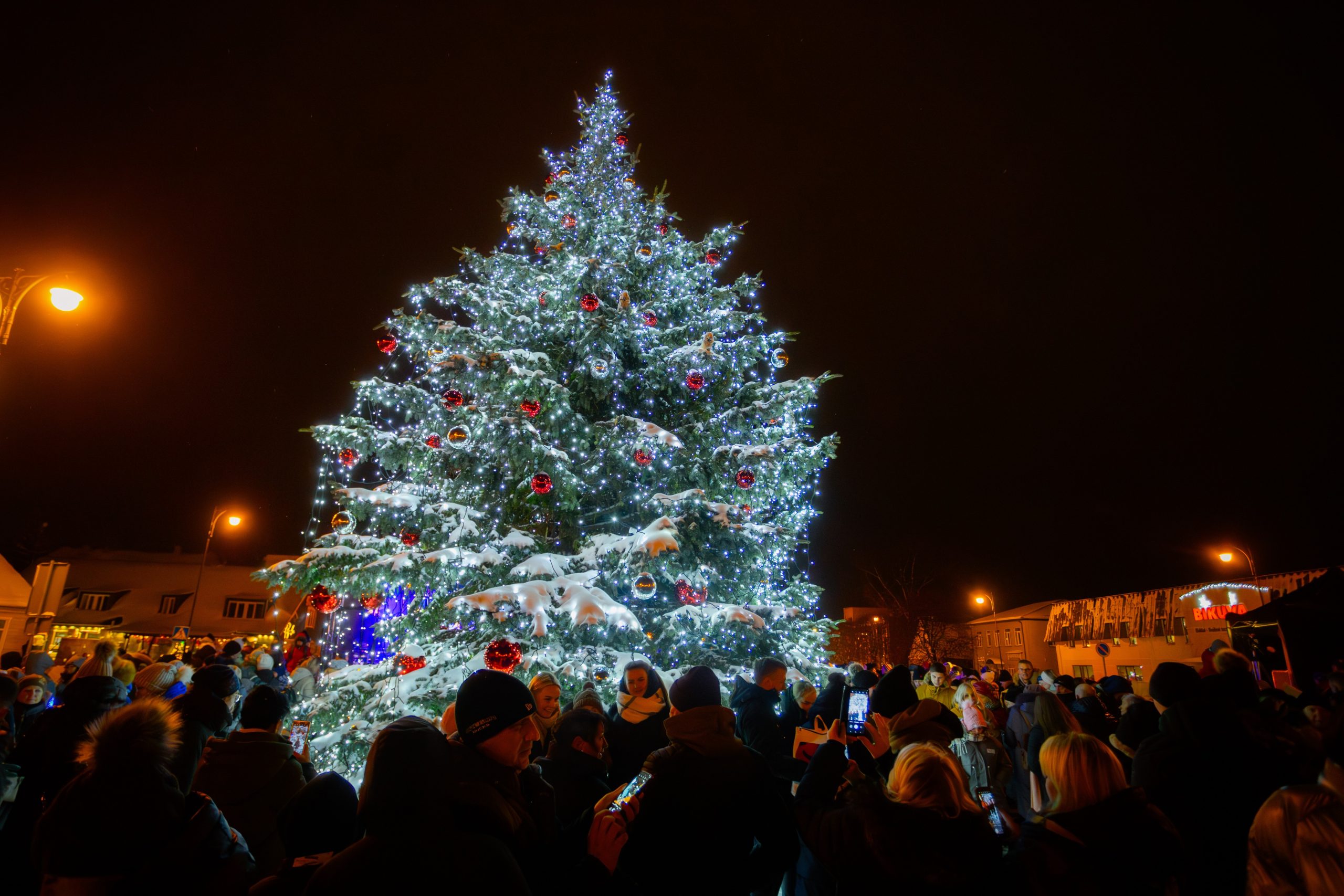 Suspindus Kalėdų eglei Rokiškyje, viena po kitos žaliaskarės bus įžiebtos visame rajone
